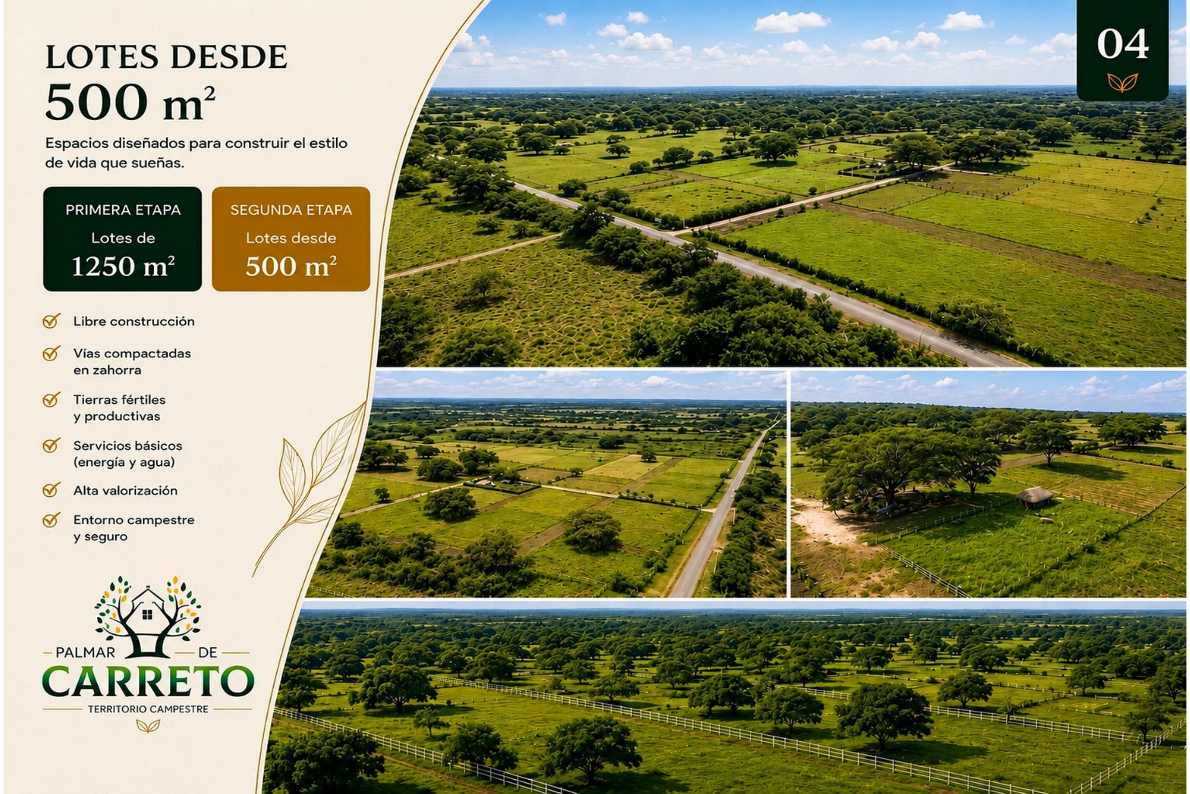 Lotes Palmar de Carreto