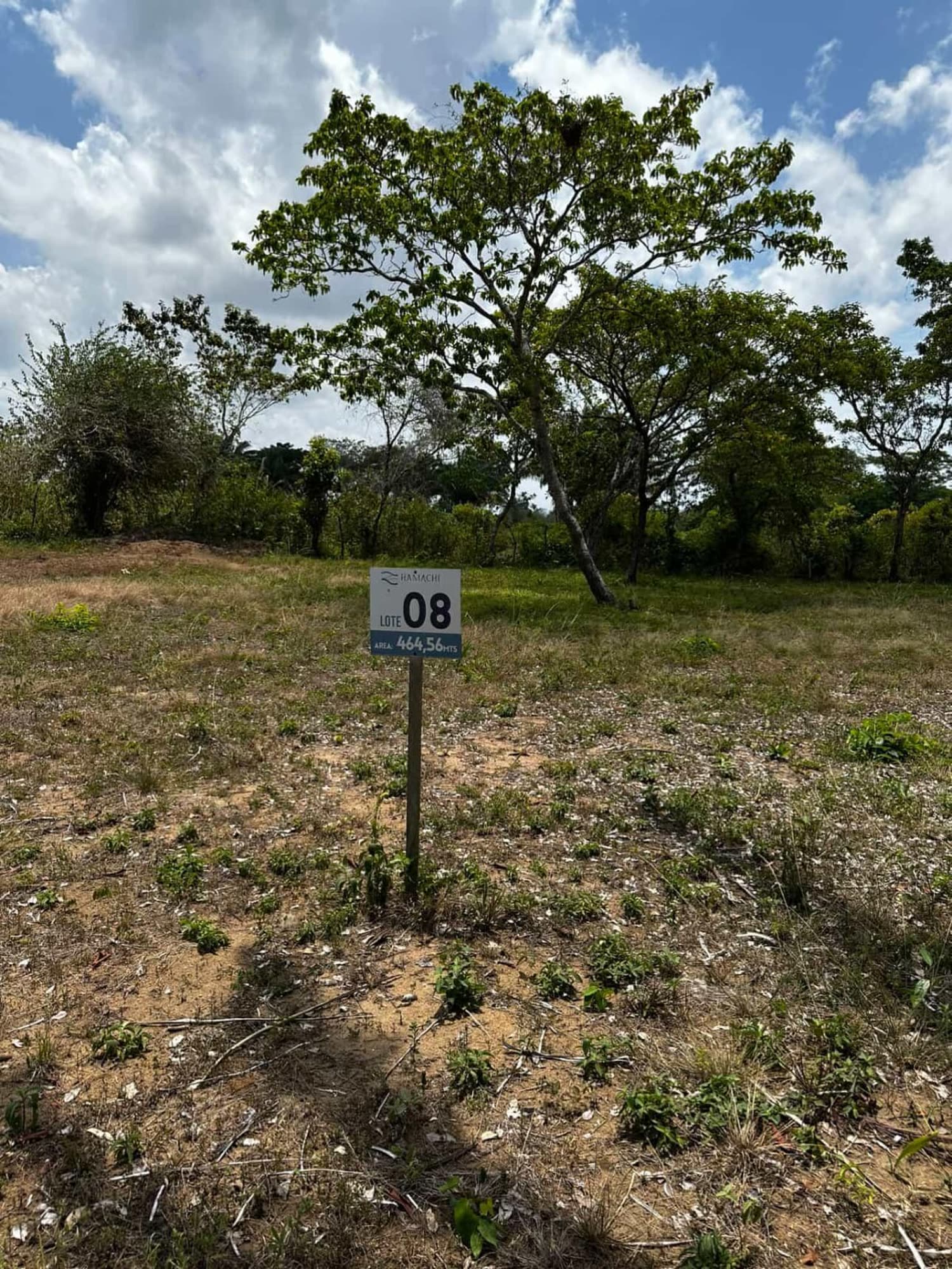 Lote marcado en campo